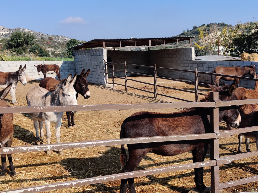 Larnaka Tourism Board - Thematic Tours & Routes-拉纳加必去景点