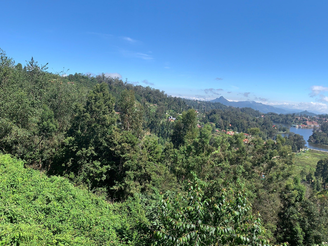 Lake View Point景点图片