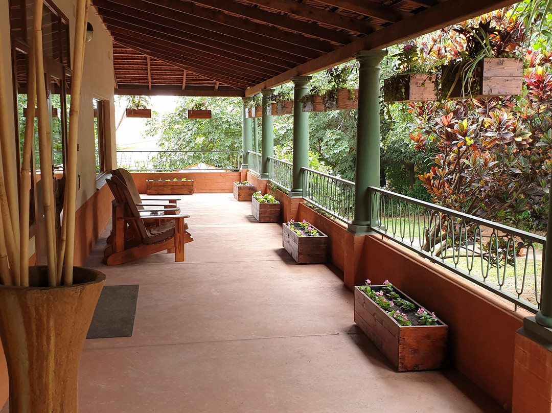 Ocean Park Guest House主图