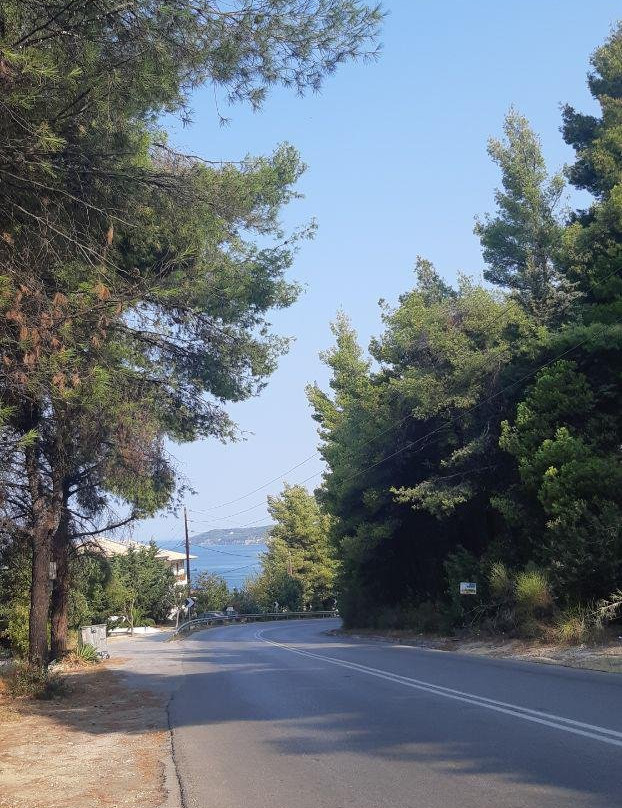 德律阿德斯酒店主图