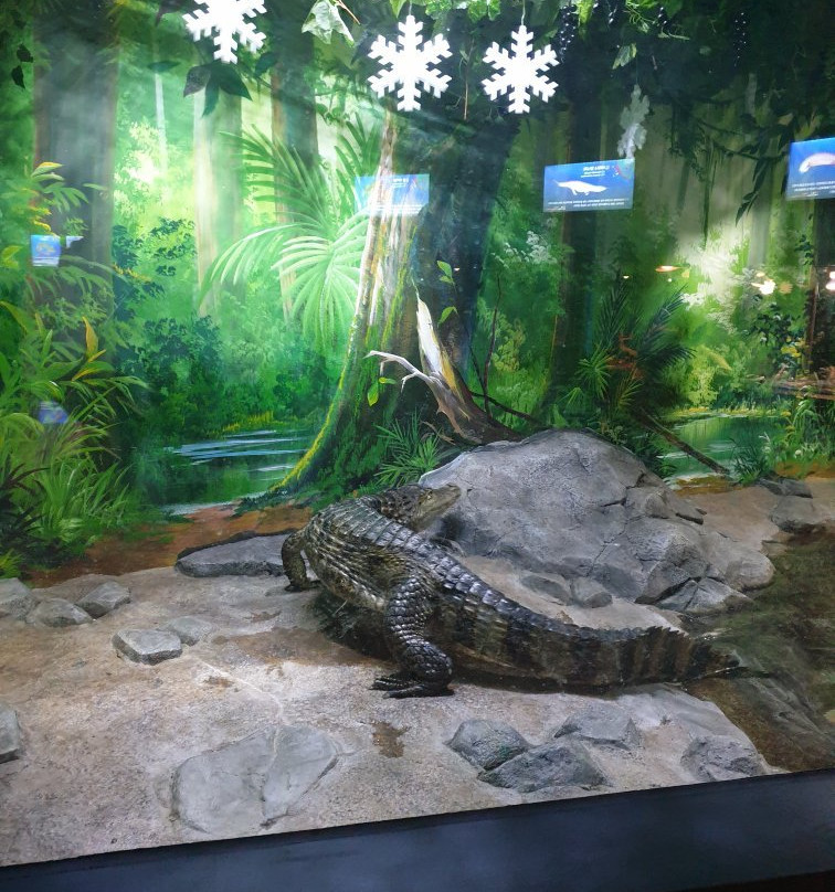 Danuri Aquarium-丹阳郡必去景点