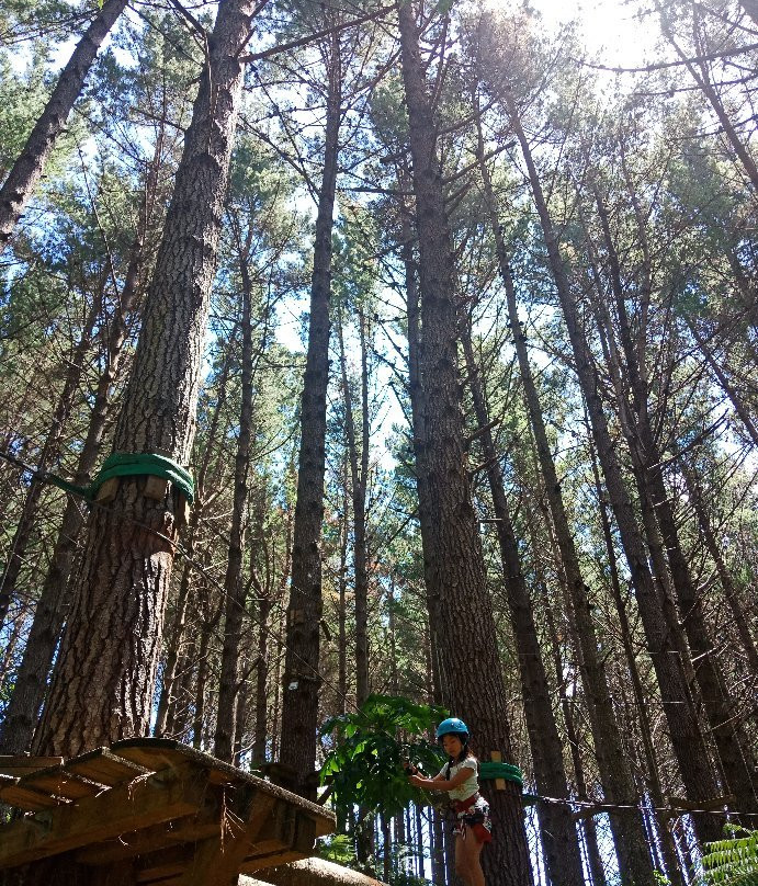 Adventure Forest景点图片