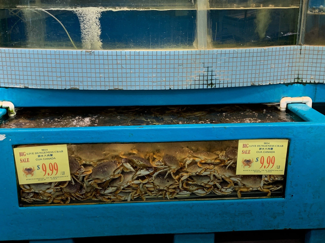 Mekong Plaza-梅萨必去景点