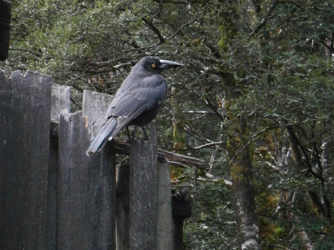 Peppers Cradle Mountain Lodge主图