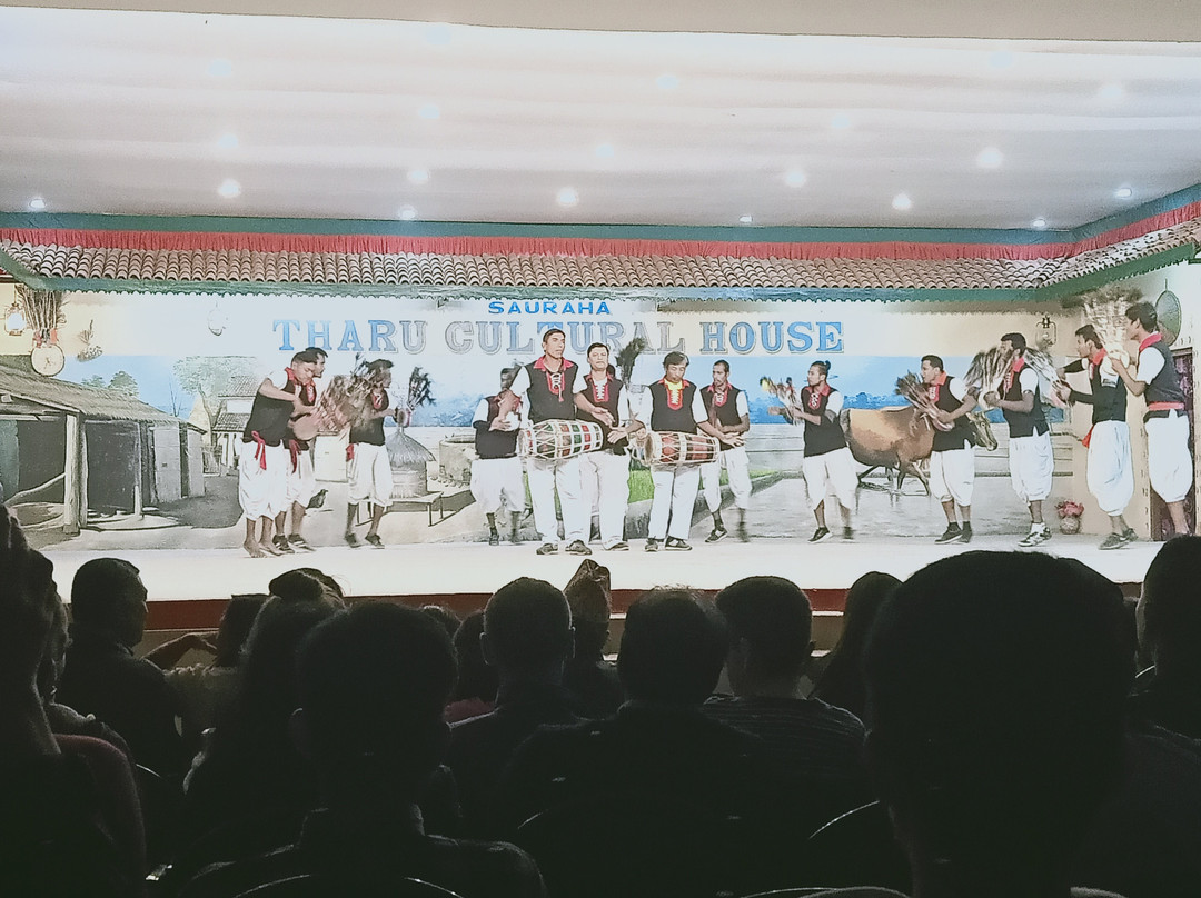 Chitwan Jungle Safari-奇旺国家公国必去景点