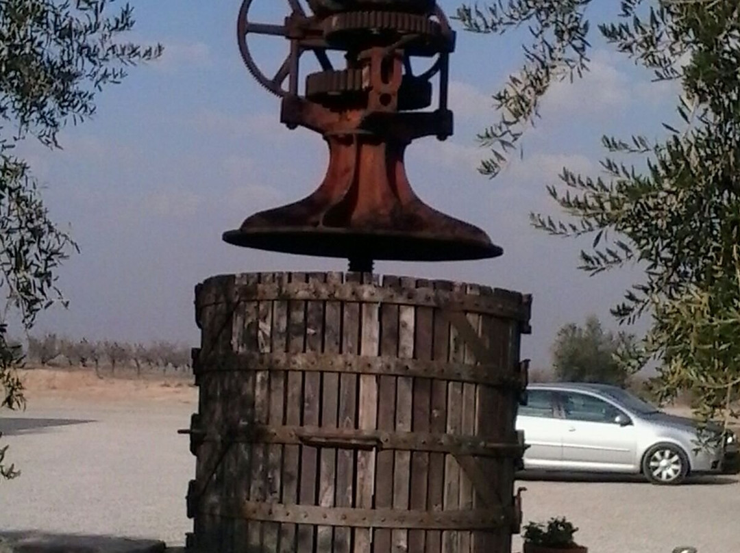 Fortaleza Iberica " Els Vilars "-Arbeca必去景点