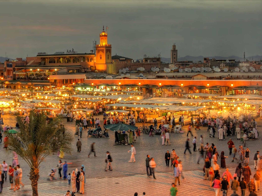 Marrakech daily tours景点图片
