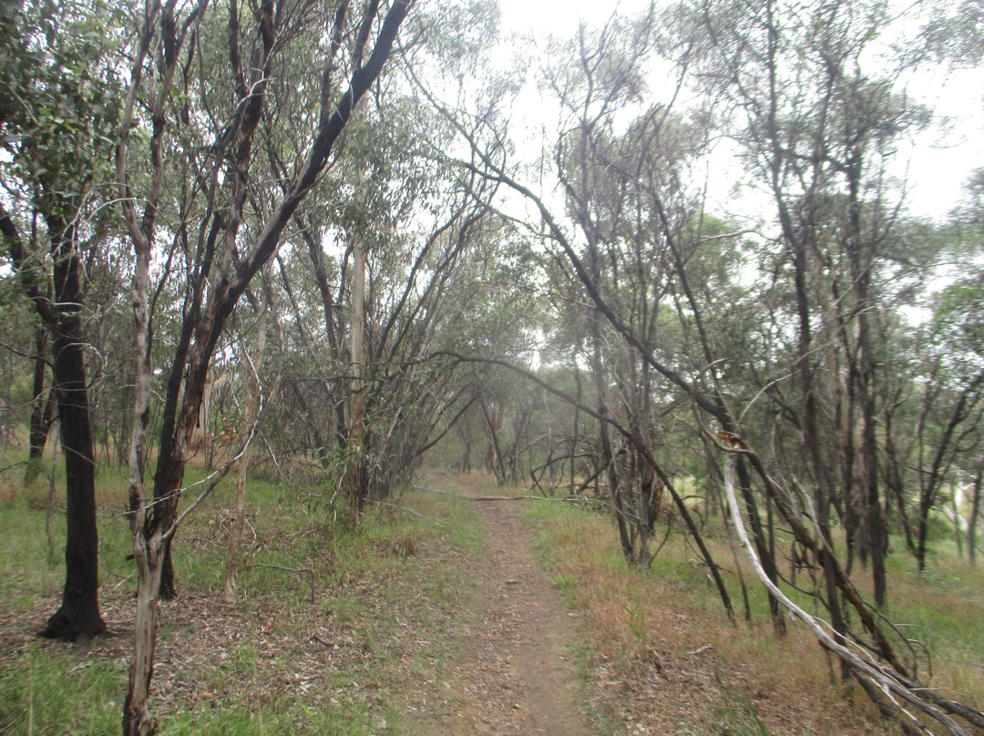 Yarra Bend Park-费尔菲尔德必去景点