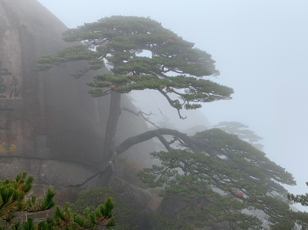 清潭峰-黄山市必去景点