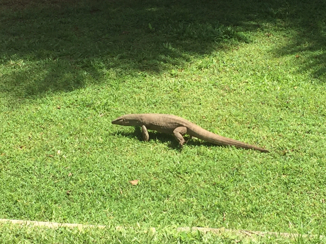 Tangalle Lighthouse-唐卡拉必去景点