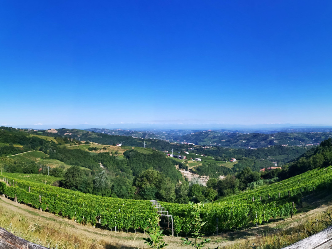 Langa Wine Tour-巴罗洛必去景点