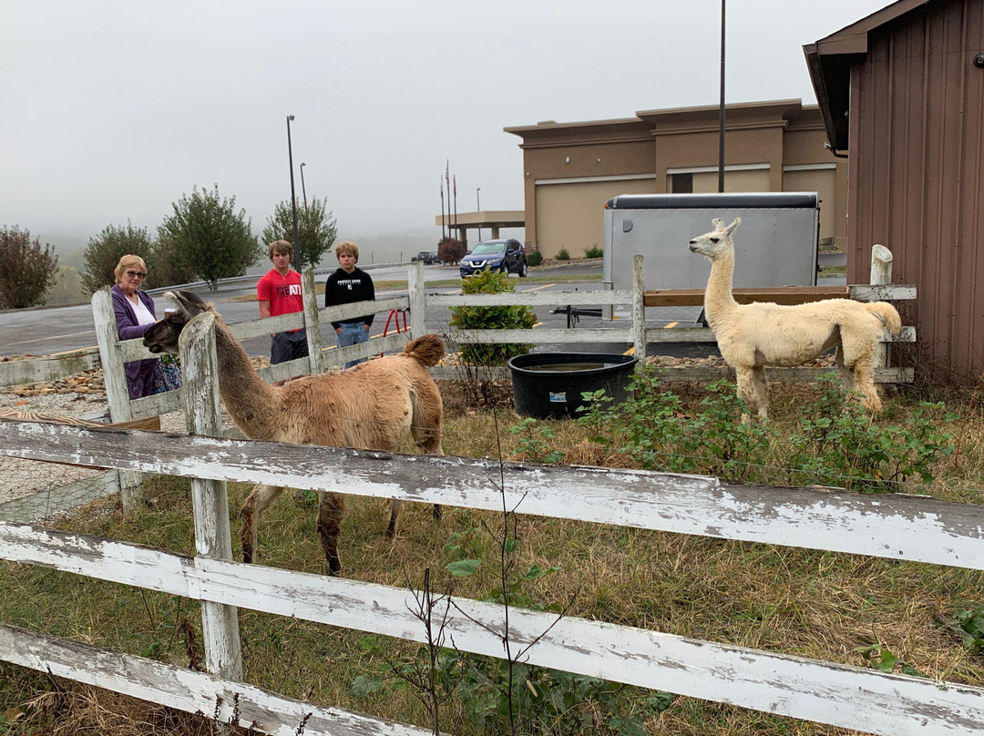 Hampton Inn Caryville-i-75/cove Lake-state Park主图