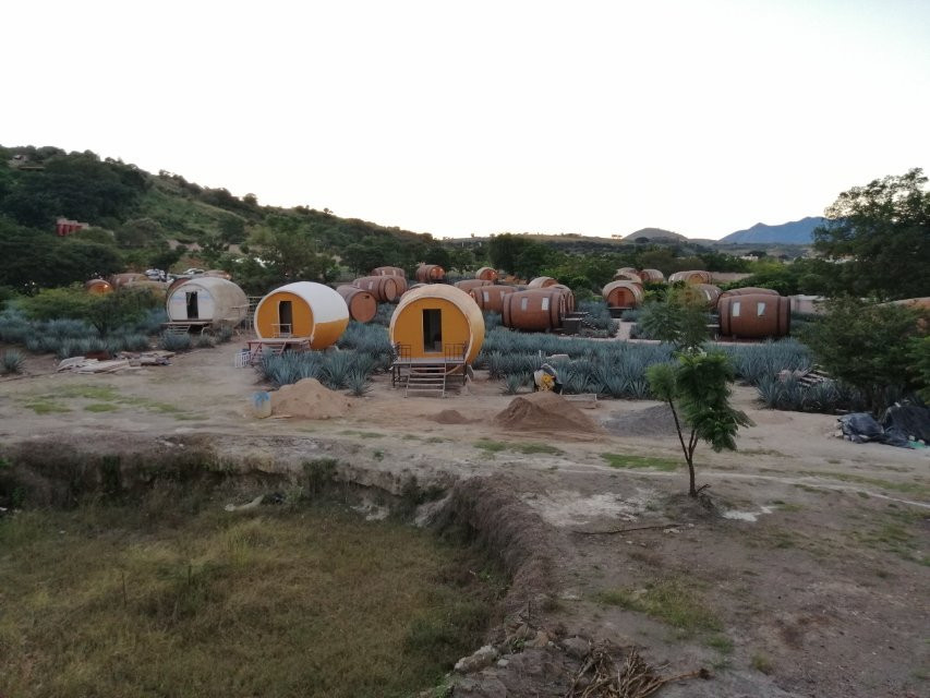 Cofradia Turistico 360-特基拉必去景点