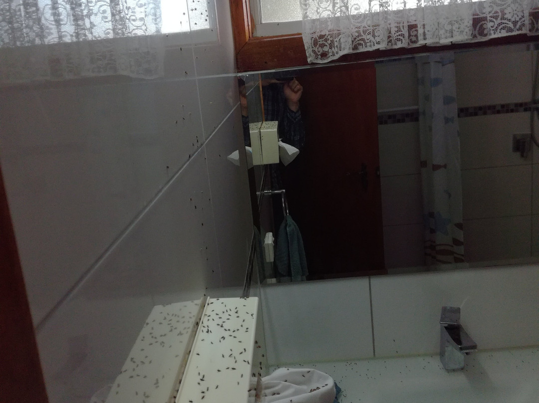 斯托尔汽车旅馆主图