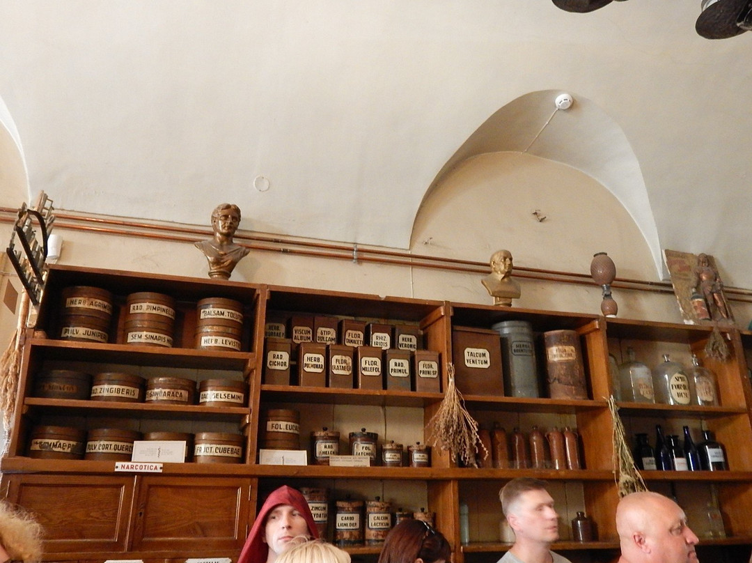 Pharmacy Museum-利沃夫必去景点