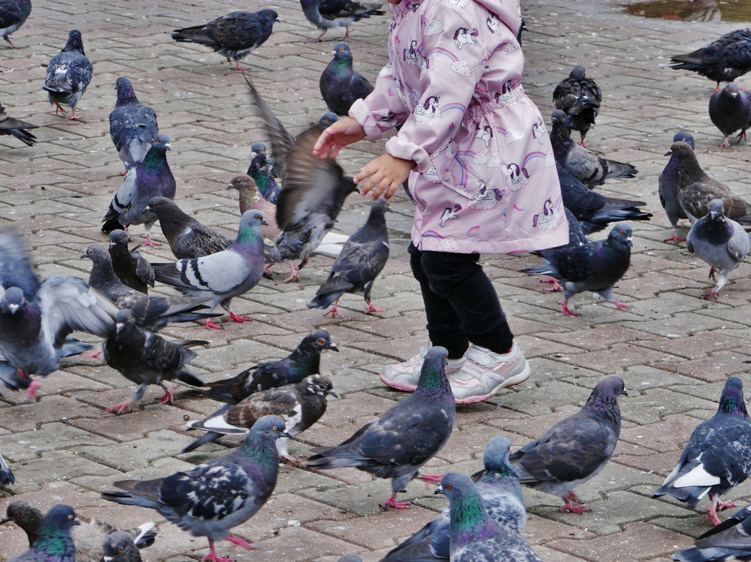 Vasile Alecsandri Square-Balti必去景点