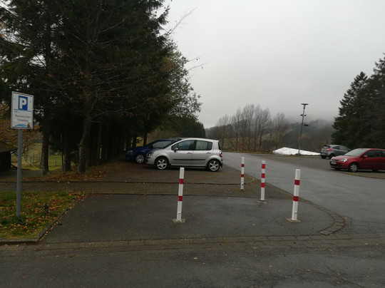 Panorama Hotel Winterberg主图