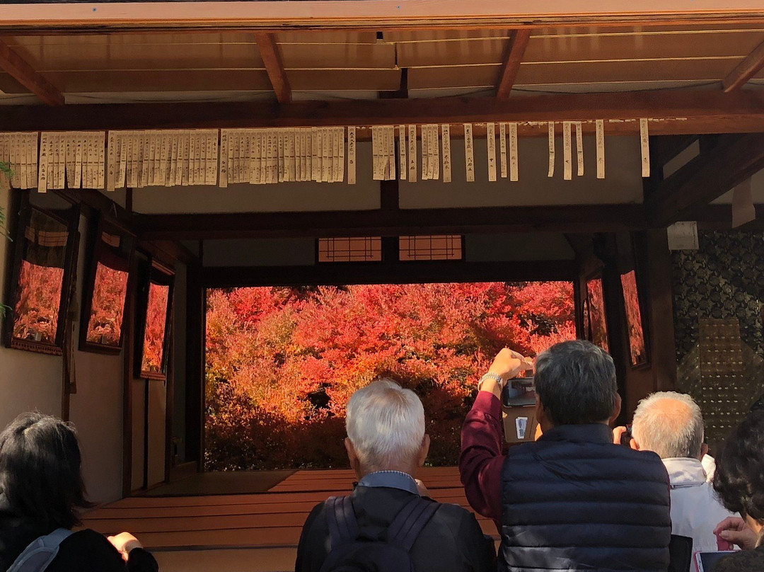 Ankokuji Temple-丰冈市必去景点