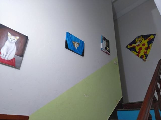 Vietnam Cultural Exchange-Son Tra Peninsula必去景点