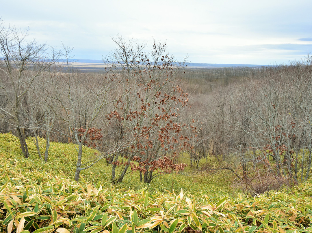Hokuto Lookout-鹤居村必去景点