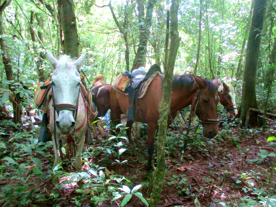 Tokpela-Piedras必去景点