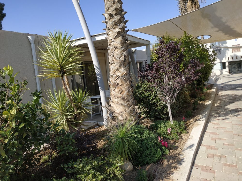 Desert Iris Hotel主图