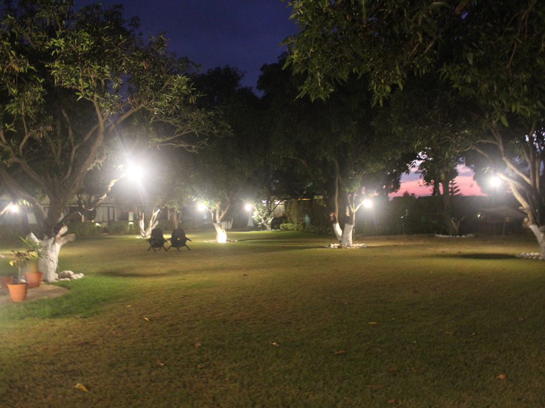 Signature Corbett主图