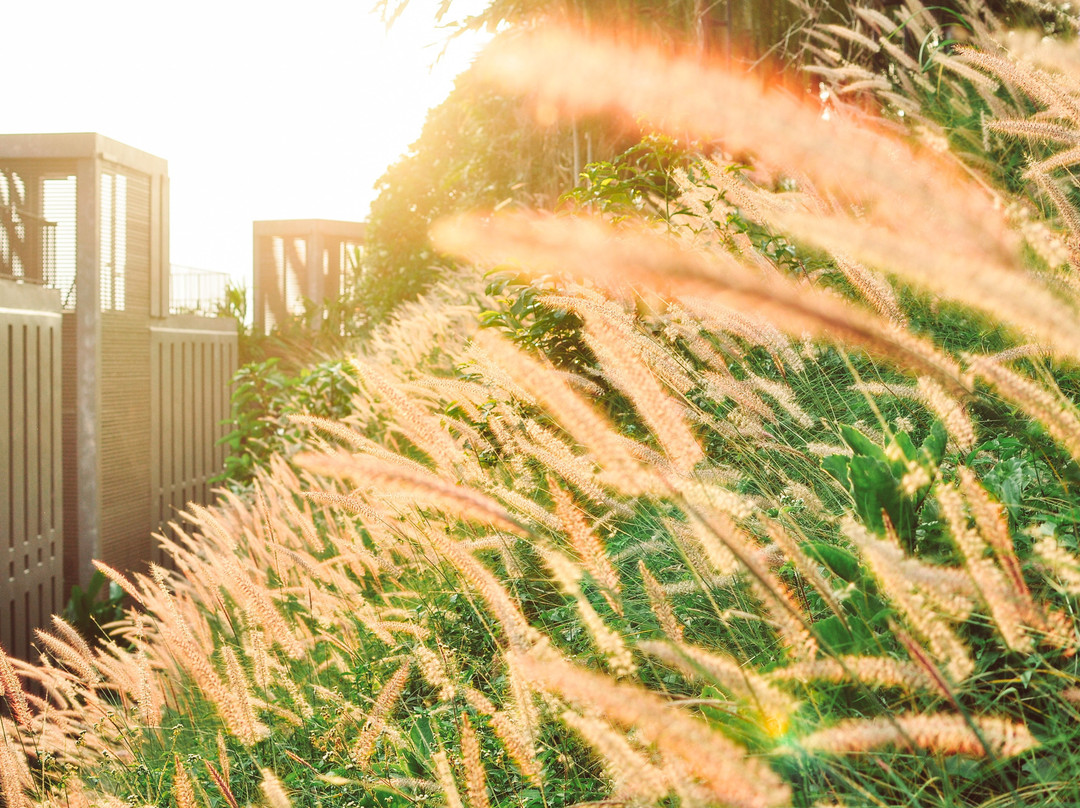 Sirinati Khao Kho National Park主图