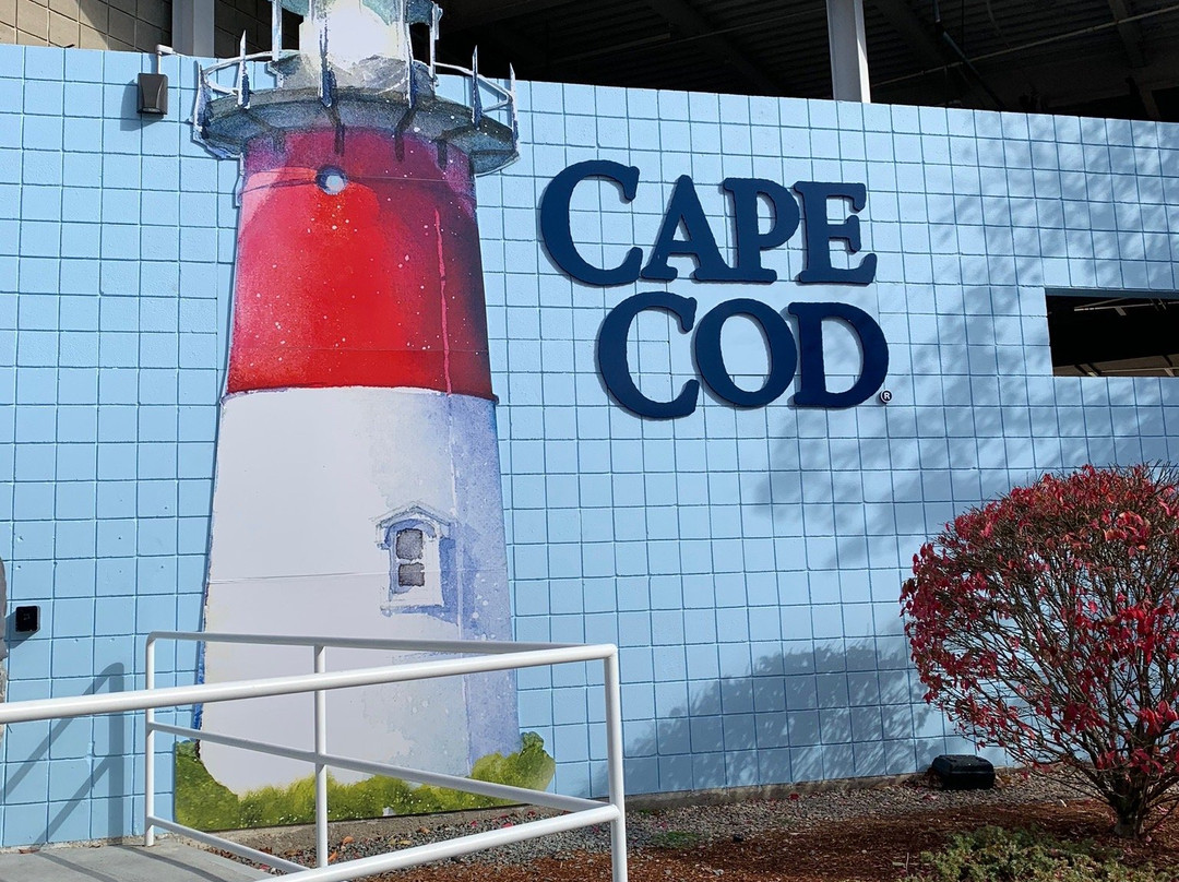 Cape Cod Potato Chips景点图片