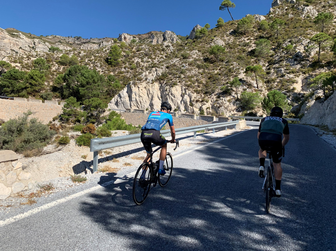 Cycle Sierra Nevada景点图片