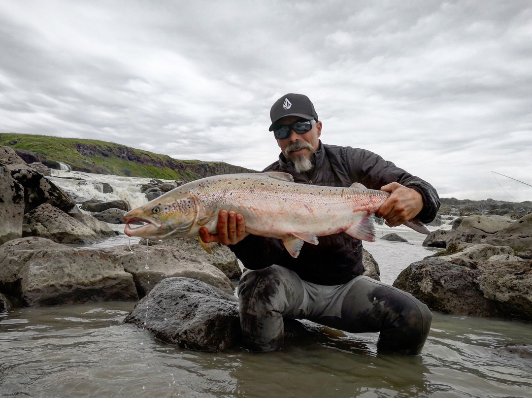 Go Fishing Iceland-科帕伏古必去景点