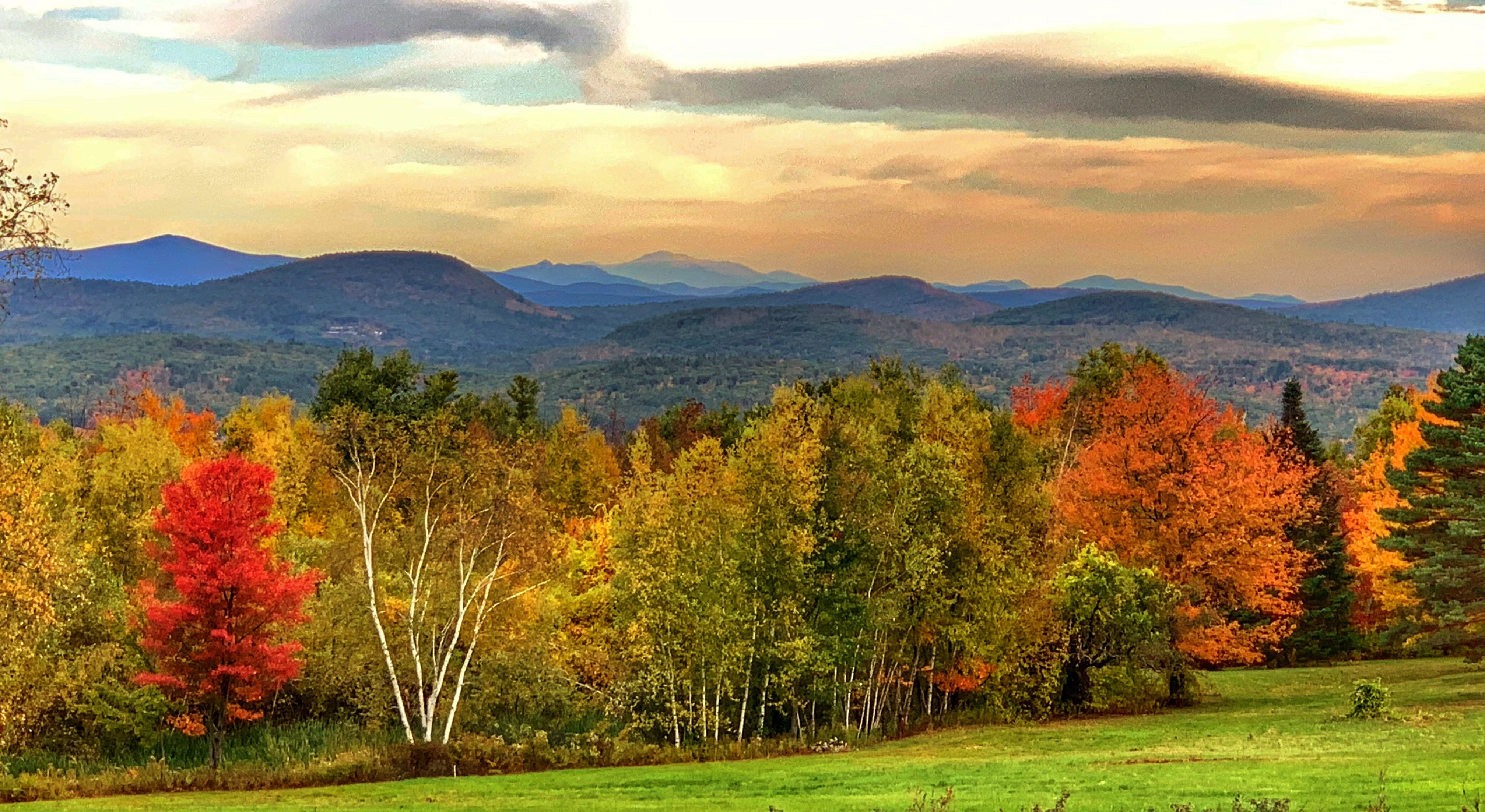 Top Of The Ridge Farm Bed & Breakfast-官方
