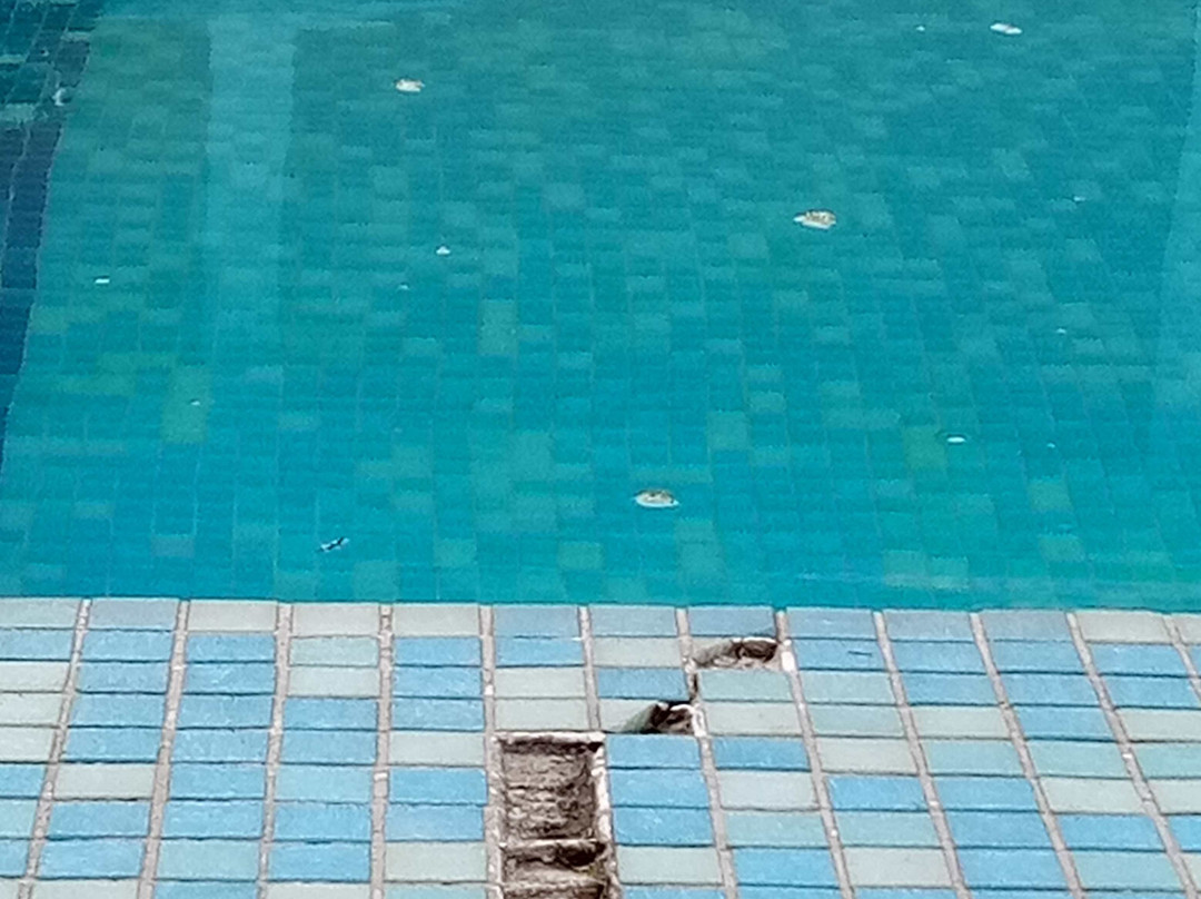 森林地标公园酒店主图