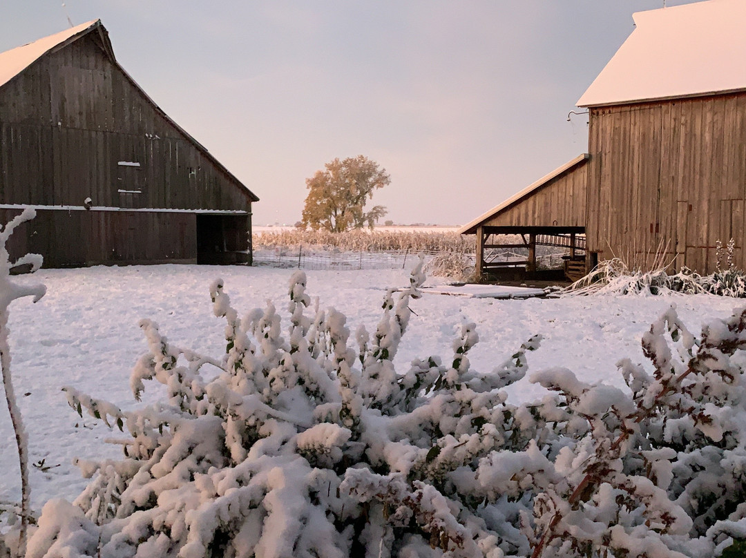 So Dear To My Heart Bed and Breakfast主图