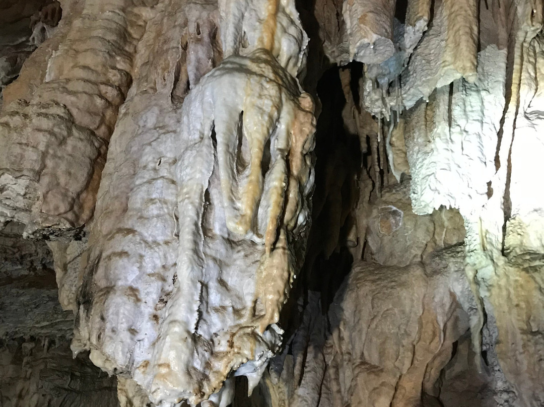 Vjetrenica Cave景点图片