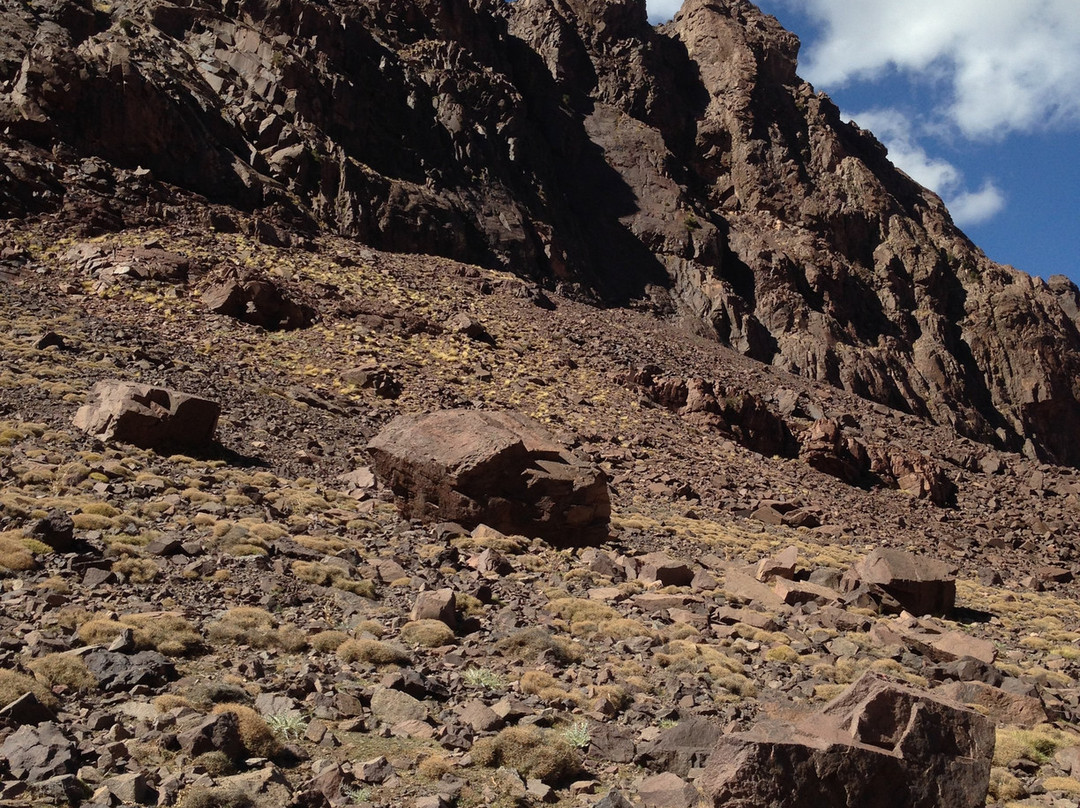 Guesthouse Dar Adous主图