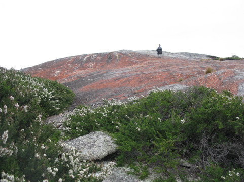 Trousers Point-Flinders Island必去景点