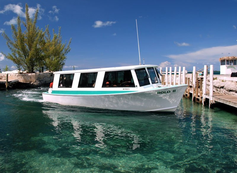 Lowe's Green Turtle Cay Ferry景点图片