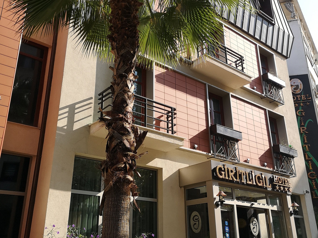 Giritligil Hotel (Müze Otel)主图