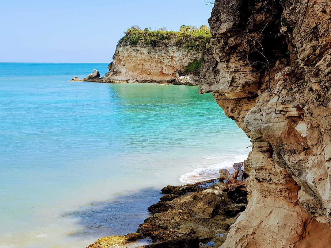 Punta Cana Mike's Dominican Adventure景点图片