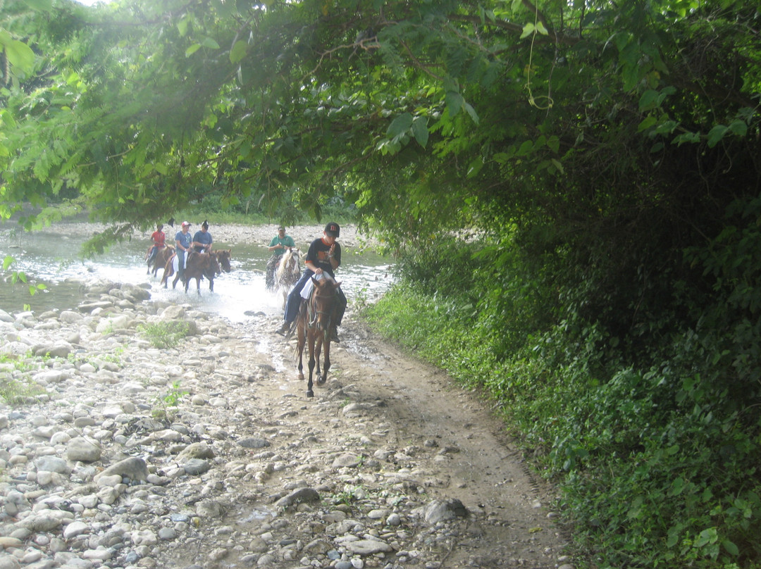 Marysol Tours-普拉塔港必去景点