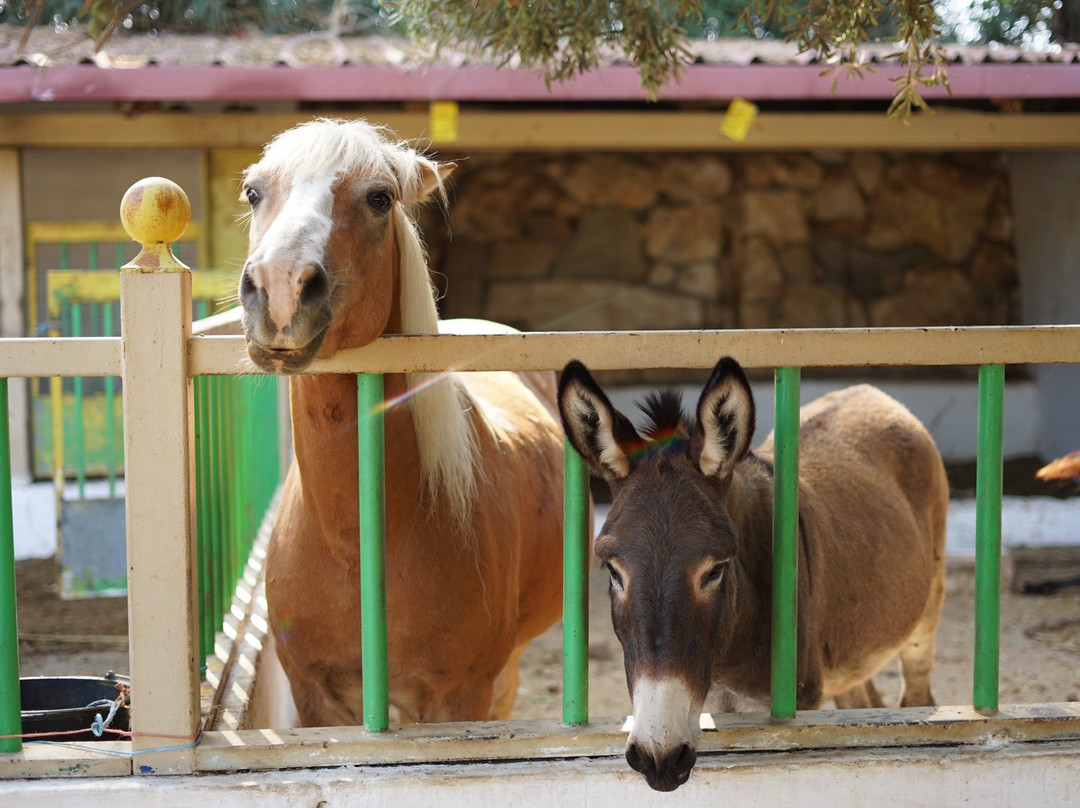 米诺斯乡村酒店主图