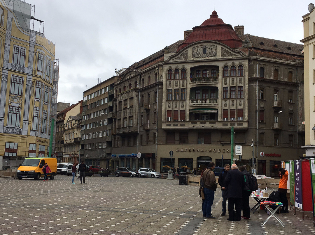 Timisoara Free Walking Tour景点图片