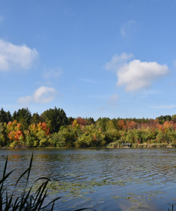 Heart Lake Conservation Park景点门票图片