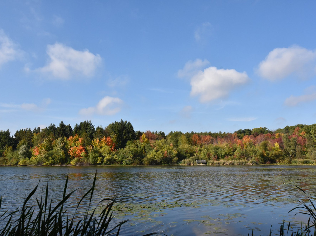 Heart Lake Conservation Park景点图片