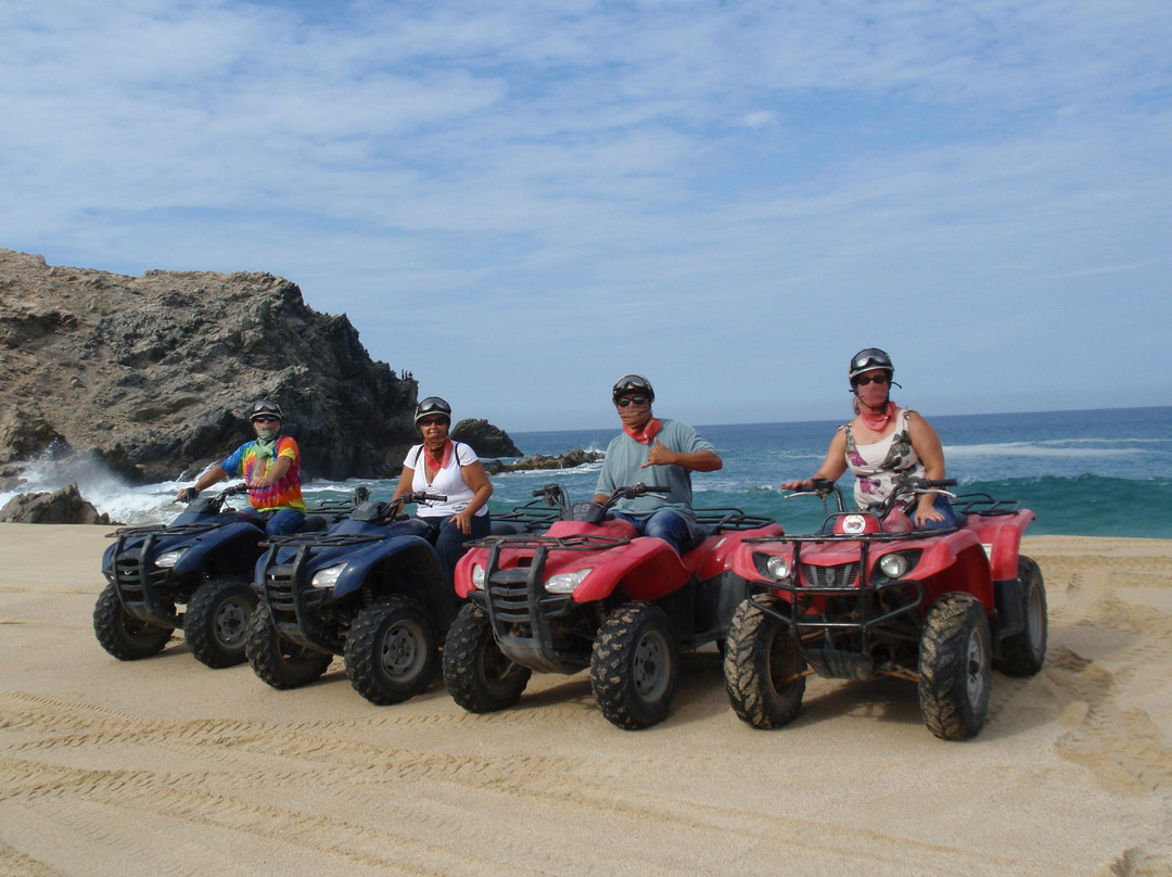 Cabo San Lucas Tours-卡波圣卢卡斯必去景点