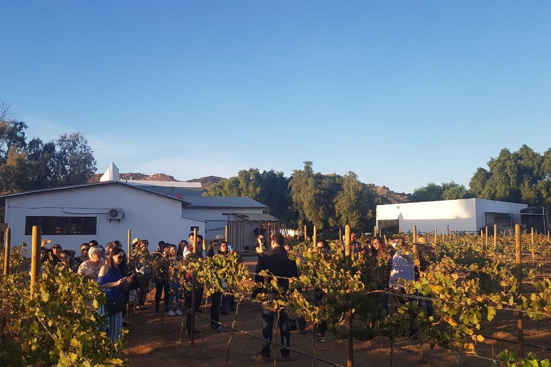Vinos Dubacano景点图片