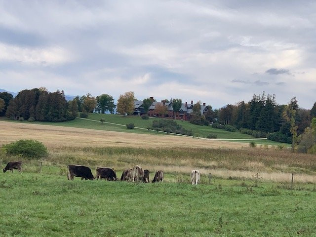 Shelburne Farms Inn主图