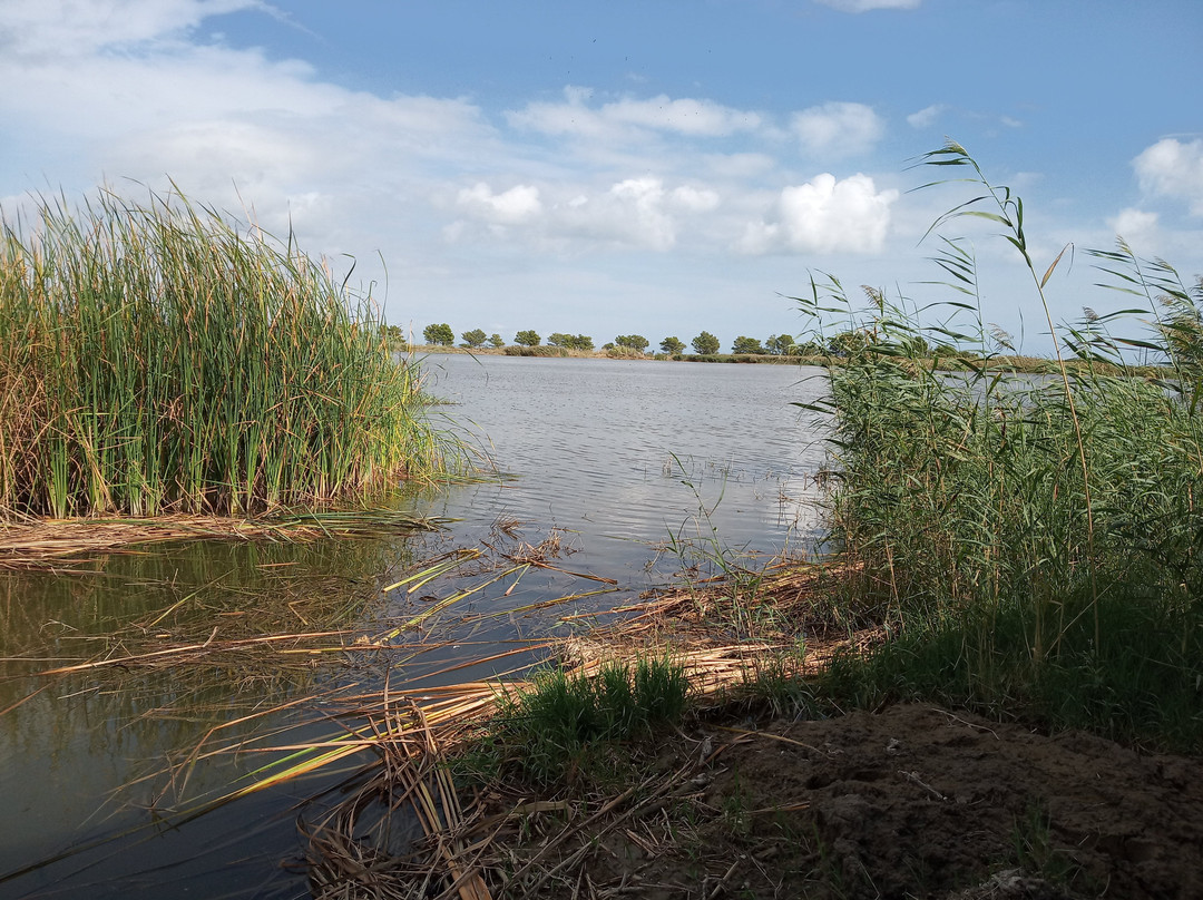 Laguna de les Olles景点图片