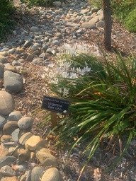 Sherwood Demonstration Garden-普莱瑟维尔必去景点